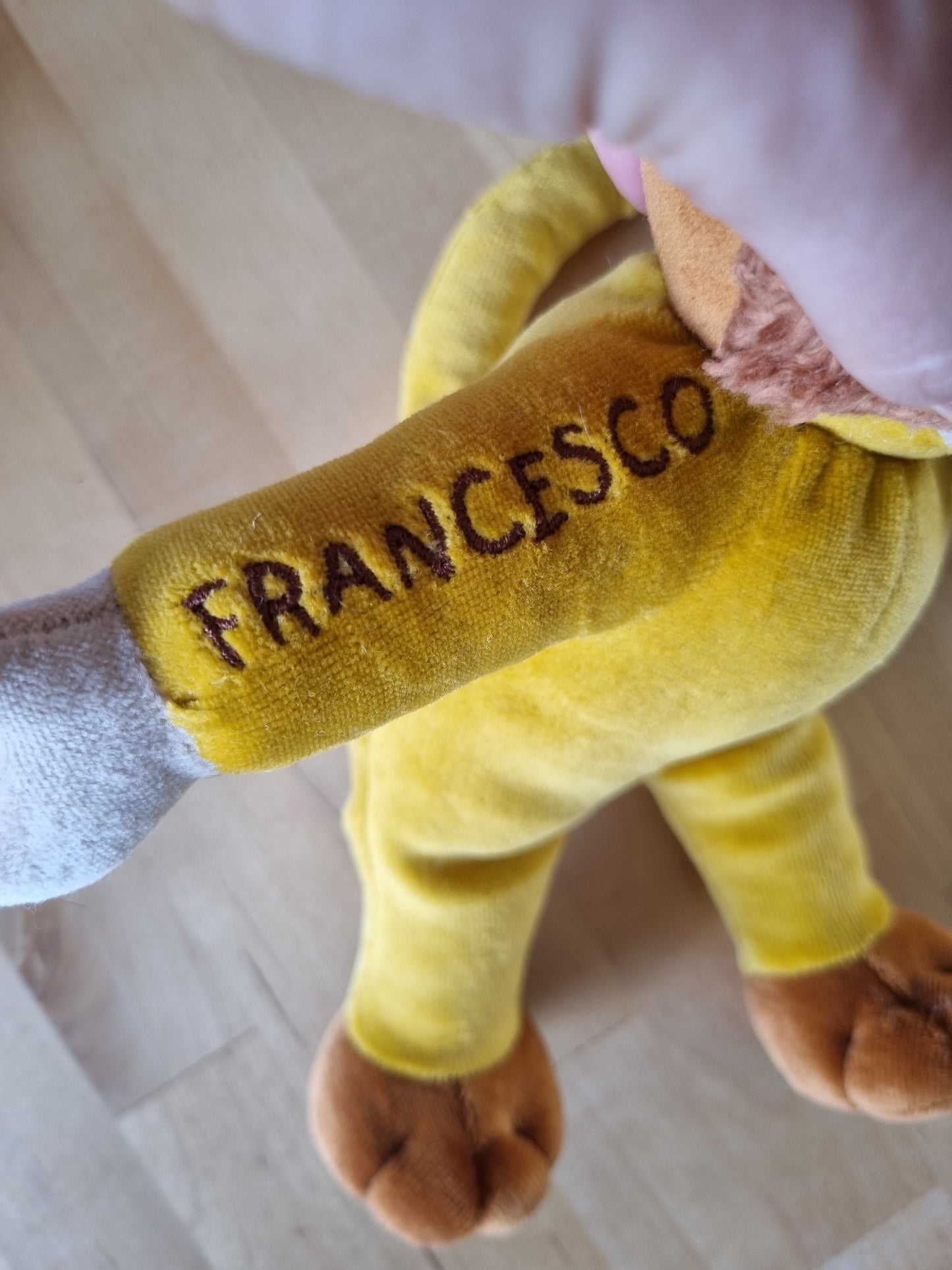 Der selbstbewusste kleine Löwe - Humandees