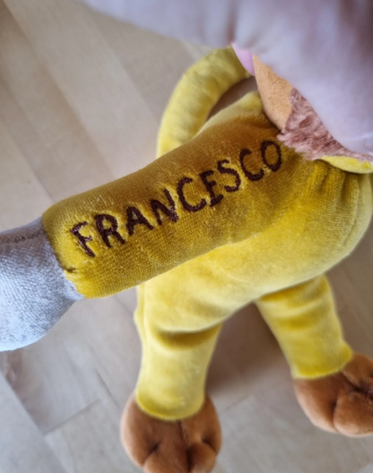 Geburtsdatum und/oder Name: - Humandees